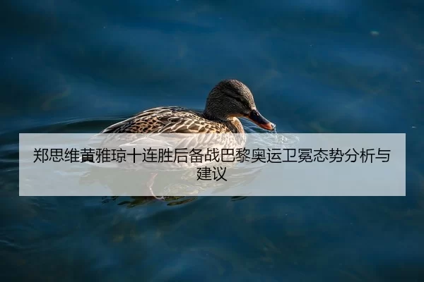 郑思维黄雅琼十连胜后备战巴黎奥运卫冕态势分析与建议
