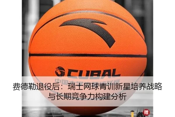 fei-de-lei-tui-yi-hou-rui-shi-wang-qiu-qing-xun-xin-xing-pei-yang-zhan-lve-yu-chang-qi-jing-zheng-li-gou-jian-fen-xi-2-762.jpg