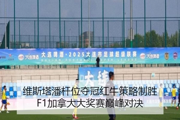 wei-si-ta-pan-gan-wei-duo-guan-hong-niu-ce-lve-zhi-sheng-jia-na-da-da-jiang-sai-dian-feng-dui-jue-2-626.jpg
